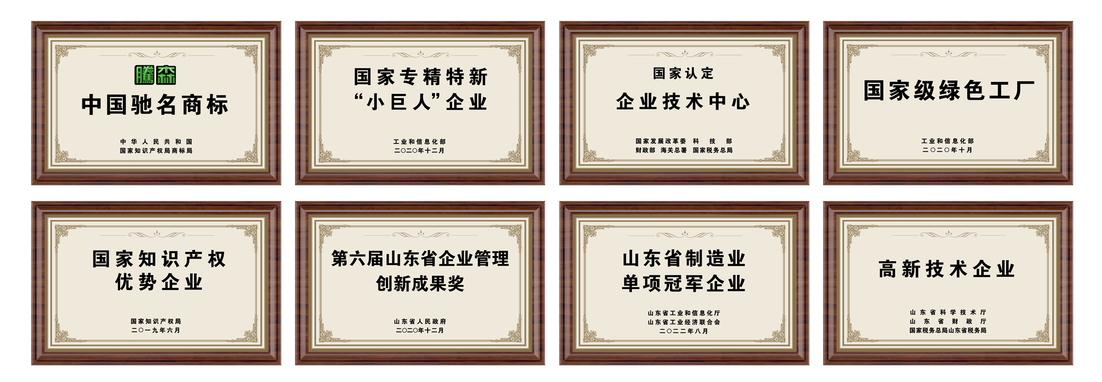 榮譽(yù)牌 新 2024.5.8.PNG